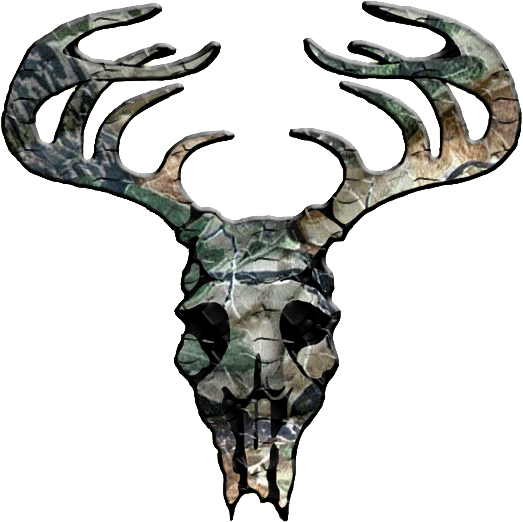 Pictures Of Deer Skulls - ClipArt Best