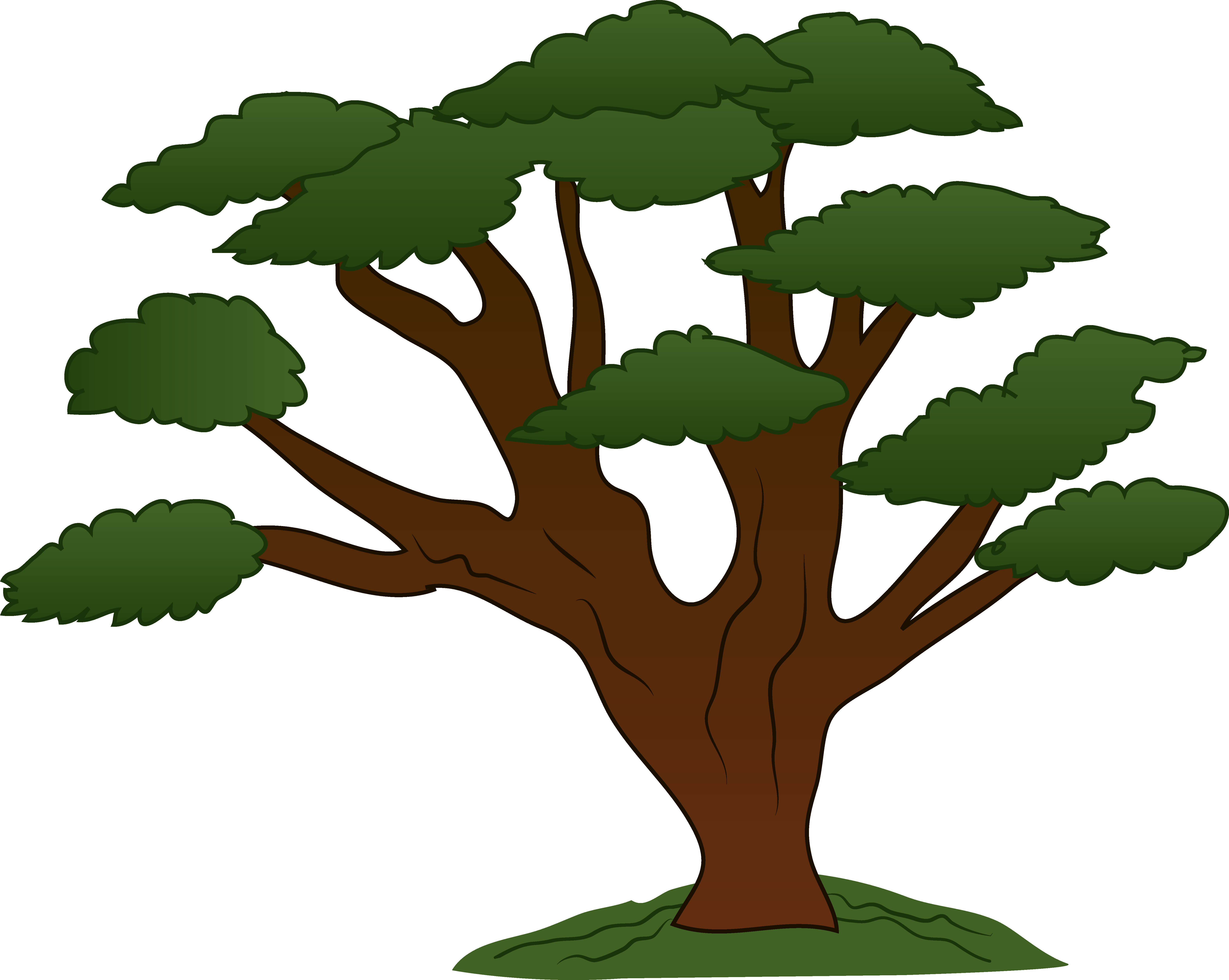 Oak Tree Cartoon - Cliparts.co