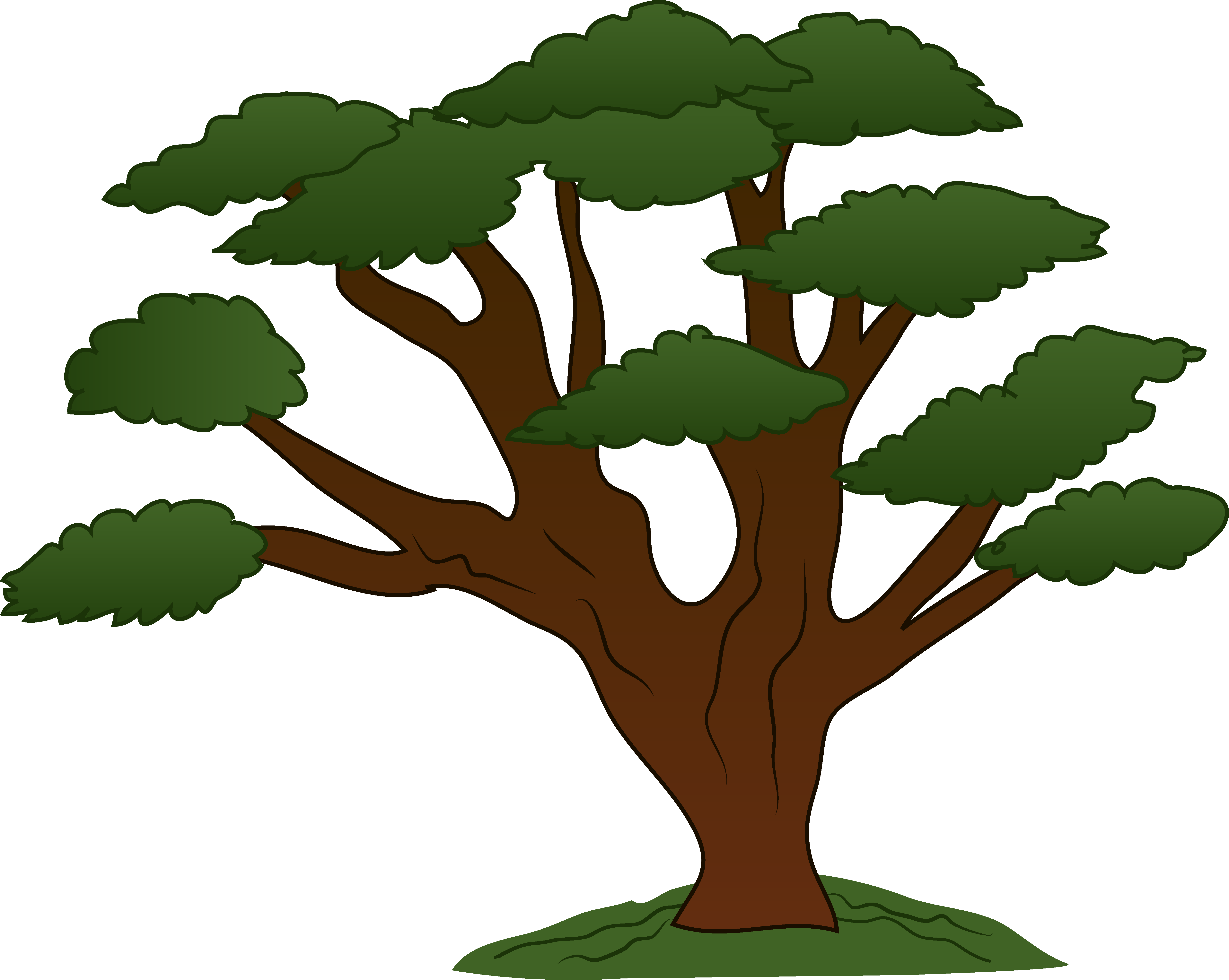 Cartoon Oak Tree - Cliparts.co