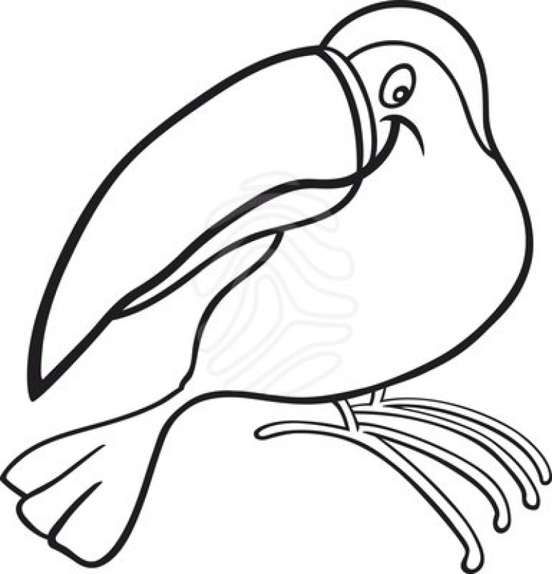 Cartoon toucan for coloring book cartoon illustration of funny toucan