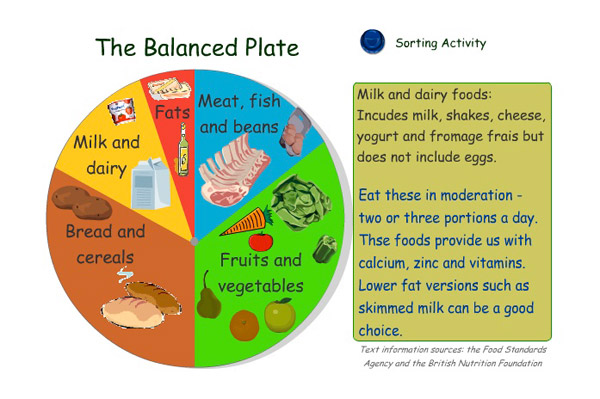 Abpi Schools Balanced Diet