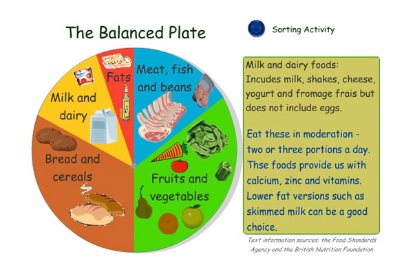 Balanced Diet Chart For Lady