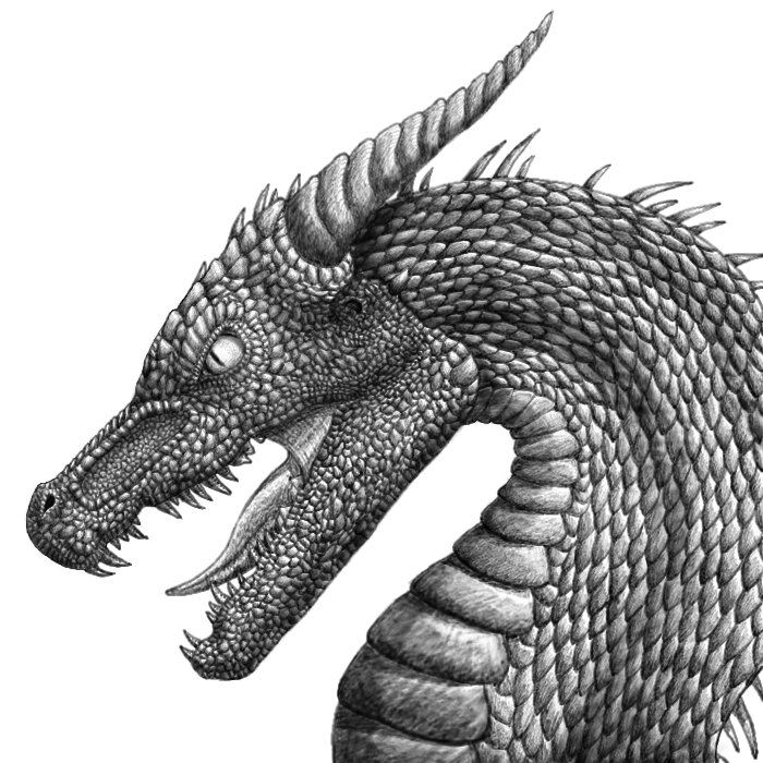 DeviantArt: More Like Angry Dragon, Black and White by ...