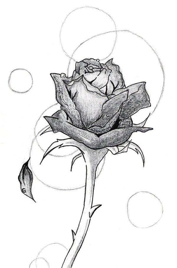 Black and White Rose by bloodyvampire18 on DeviantArt