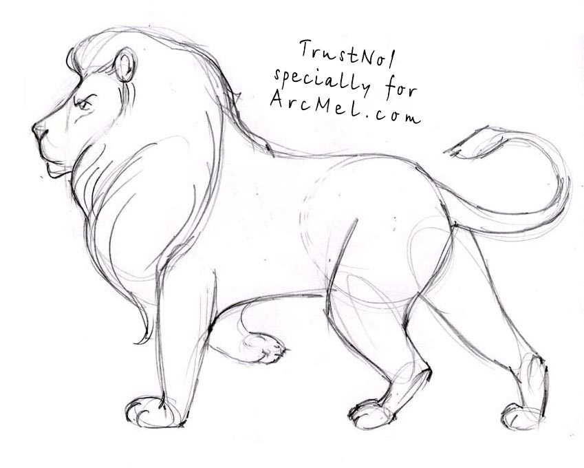 How-to-draw-a-lion-step-by- ...