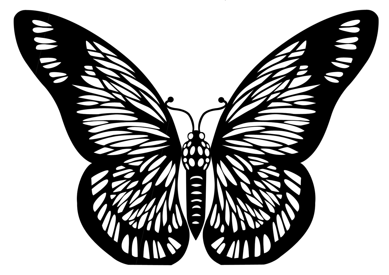 Butterfly Cut Outs - ClipArt Best - ClipArt Best
