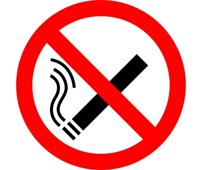 MPs to Vote on Offence of Smoking in a Private Vehicle In The ...