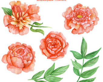 floral watercolor clipart – Etsy