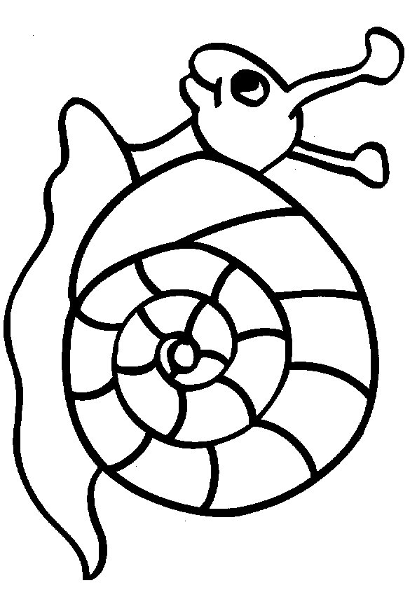snail-animal-coloring-pages-14.gif