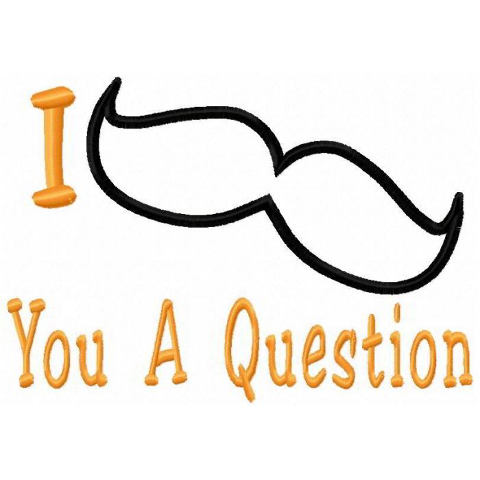 I Moustache You A Question Text Applique Design