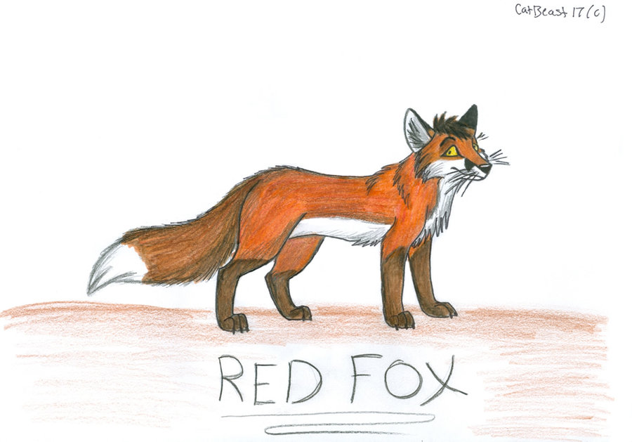 Cartoon Red Fox by CatBeast17 on deviantART