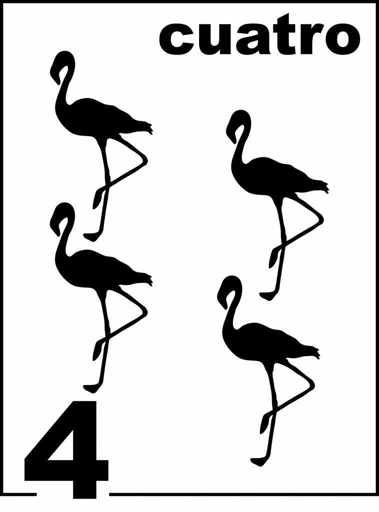 Spanish Flamingo Counting Card 4 | ClipArt ETC