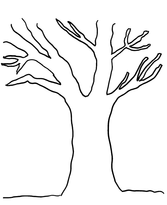 Bare Tree Template - Cliparts.co