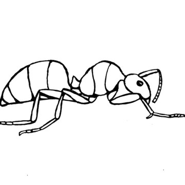 Ant : Printables Ant With Slice Apple Coloring Page, Printables ...