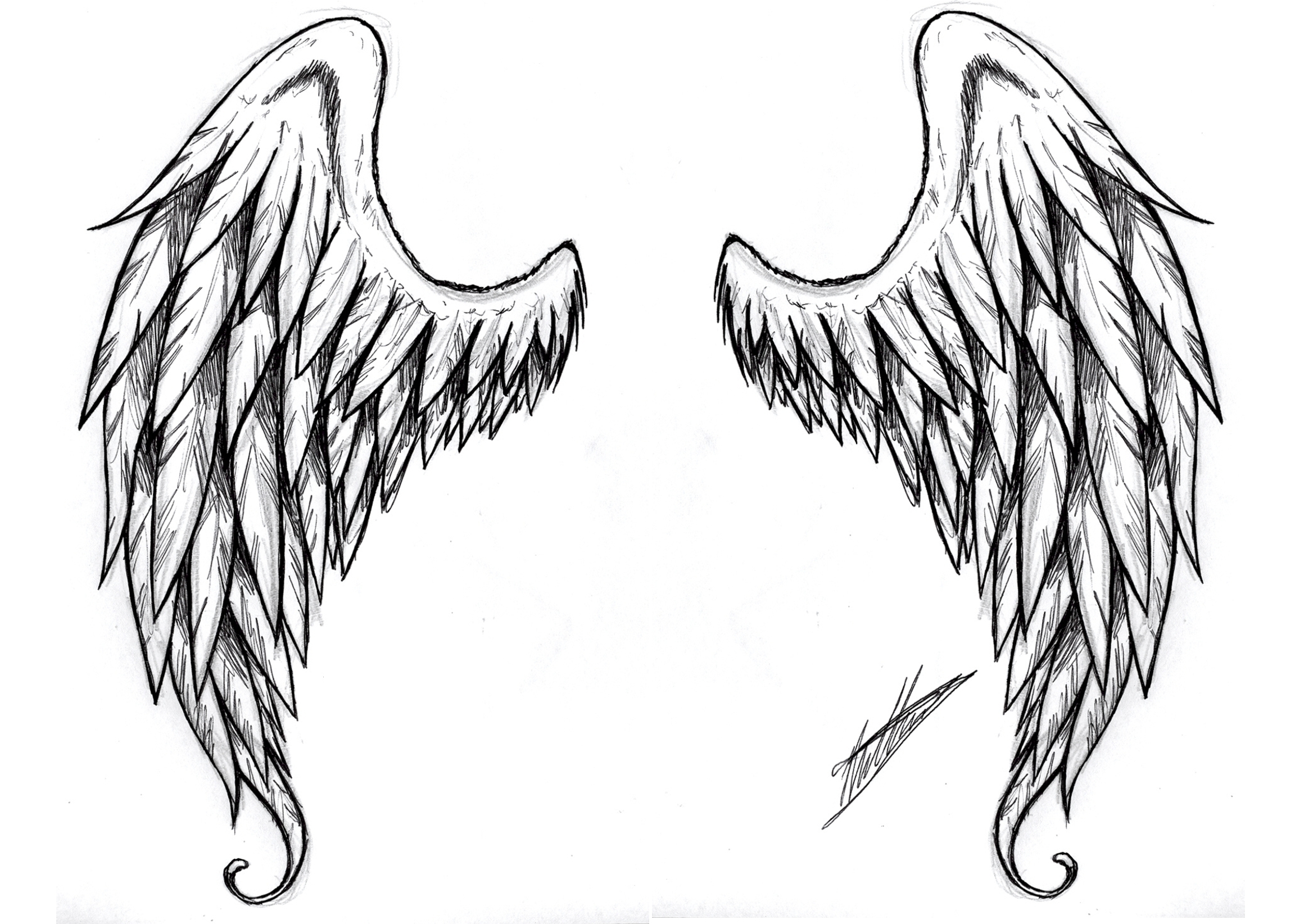 Simple Angel Wings Drawing - Cliparts.co