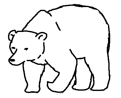 bear outline