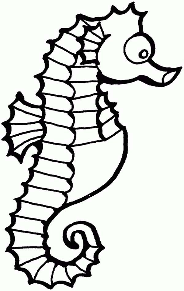 Funny Seahorse in Cartoon Coloring Page | Kids Play Color