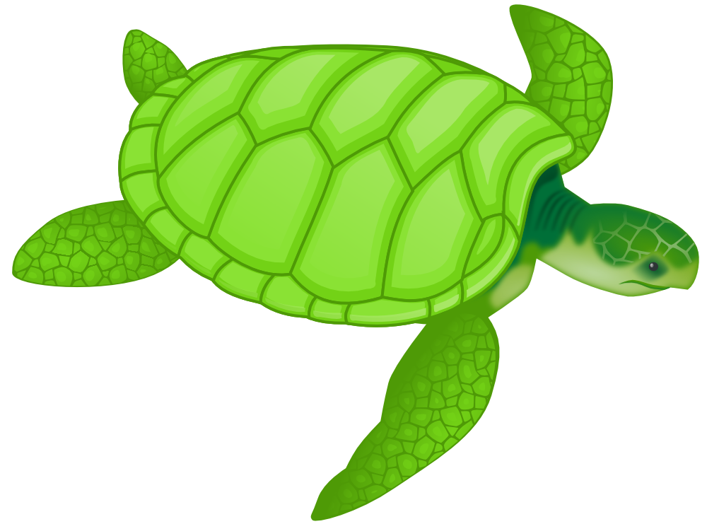 OnlineLabels Clip Art - Green Sea Turtle