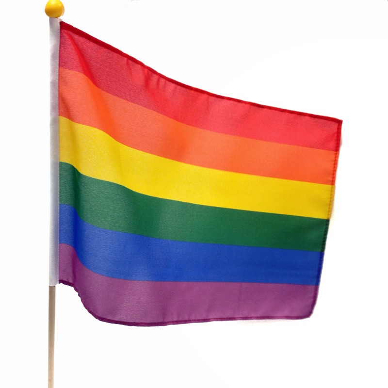 Gay Pride Rainbow Hand Flag with Smiley Face: 12" x 18" - Republic ...