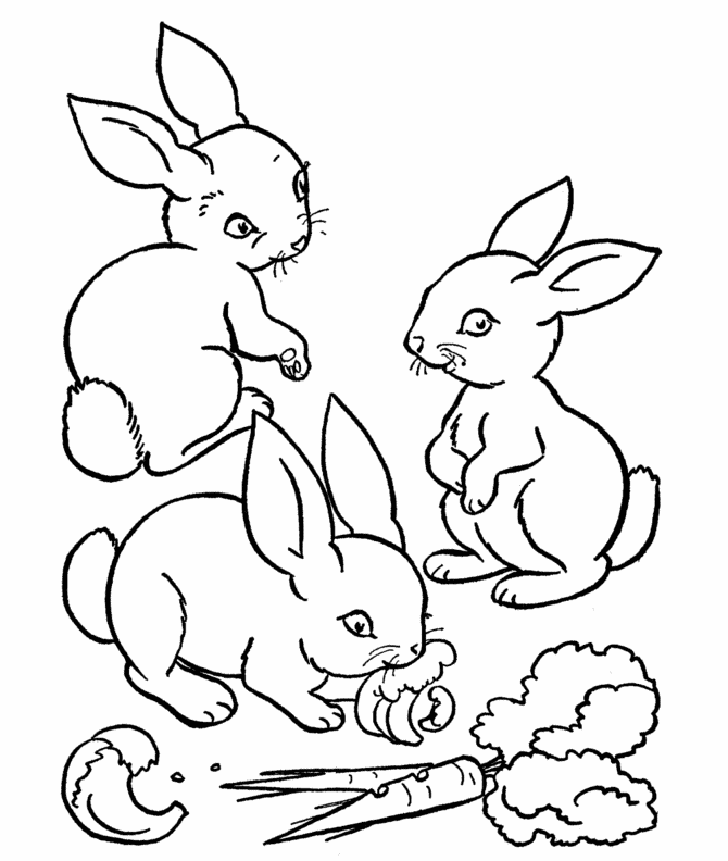 Download Small Rabbits Eating Vegetable Coloring For Kids Or Print ...