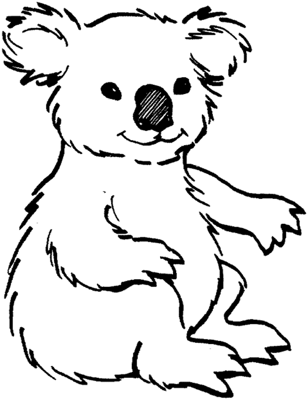 Free Koala coloring page. «