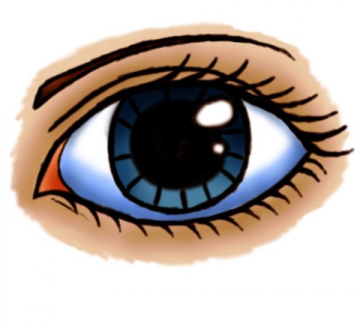 How to draw a cartoon eye (female)