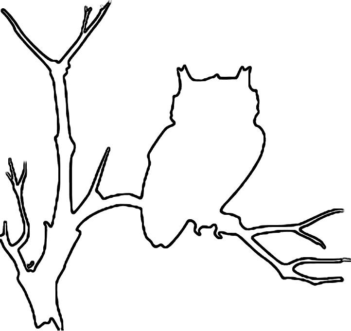 Outline Of An Owl - AZ Coloring Pages
