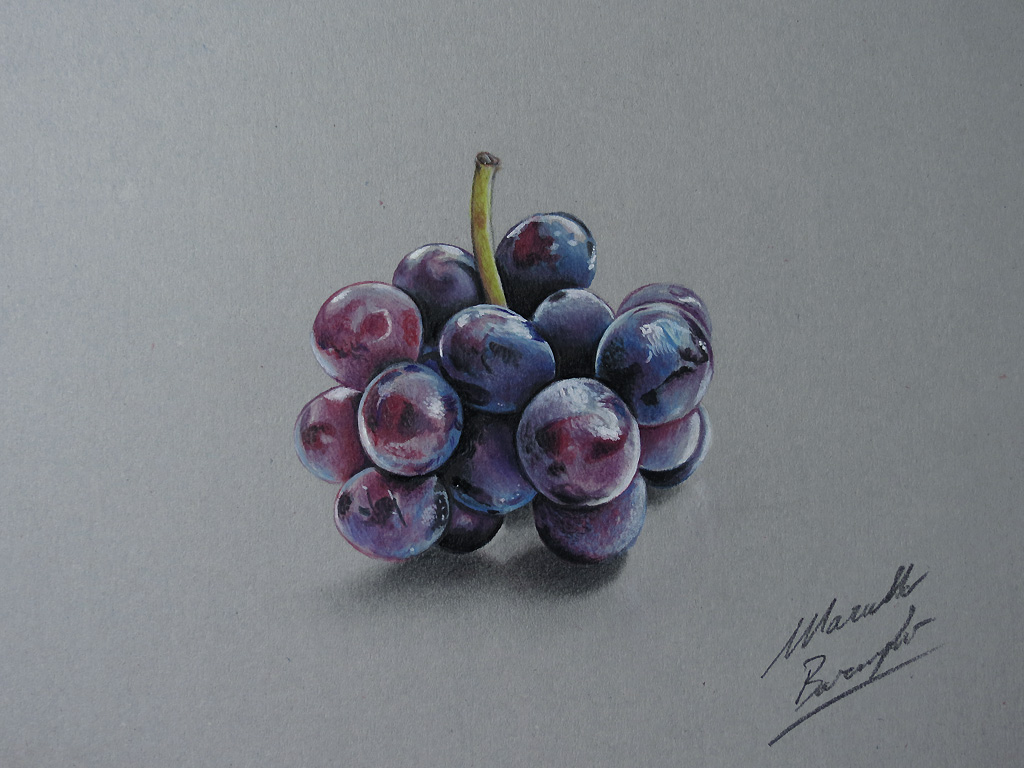 Marcello Barenghi: Grapes drawing