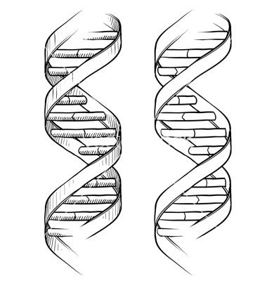 Doodle dna double helix vector 1112437 - by lhfgraphics on ...