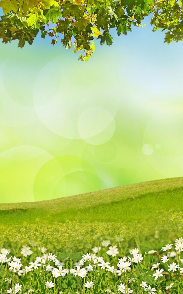 9.4MB] Download Spring Meadow Live Wallpaper From Creative Factory ...