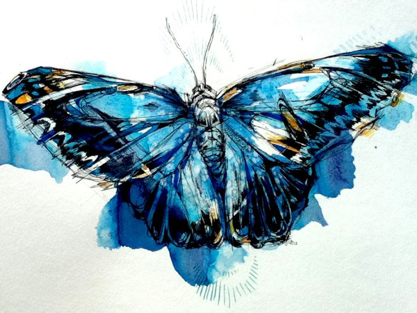 Mighty Morpho Butterfly Art Print by Abby Diamond | Society6