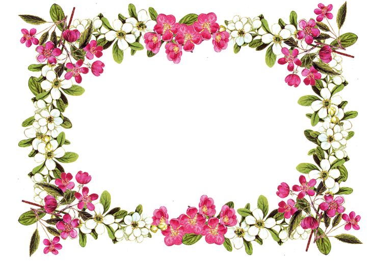 Free Printable Clip Art Borders | free digital flower frame png ...