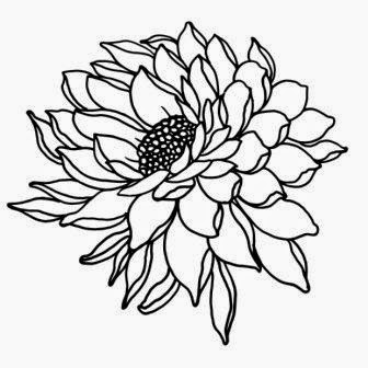 flower outline cliparts co flower outline cliparts co