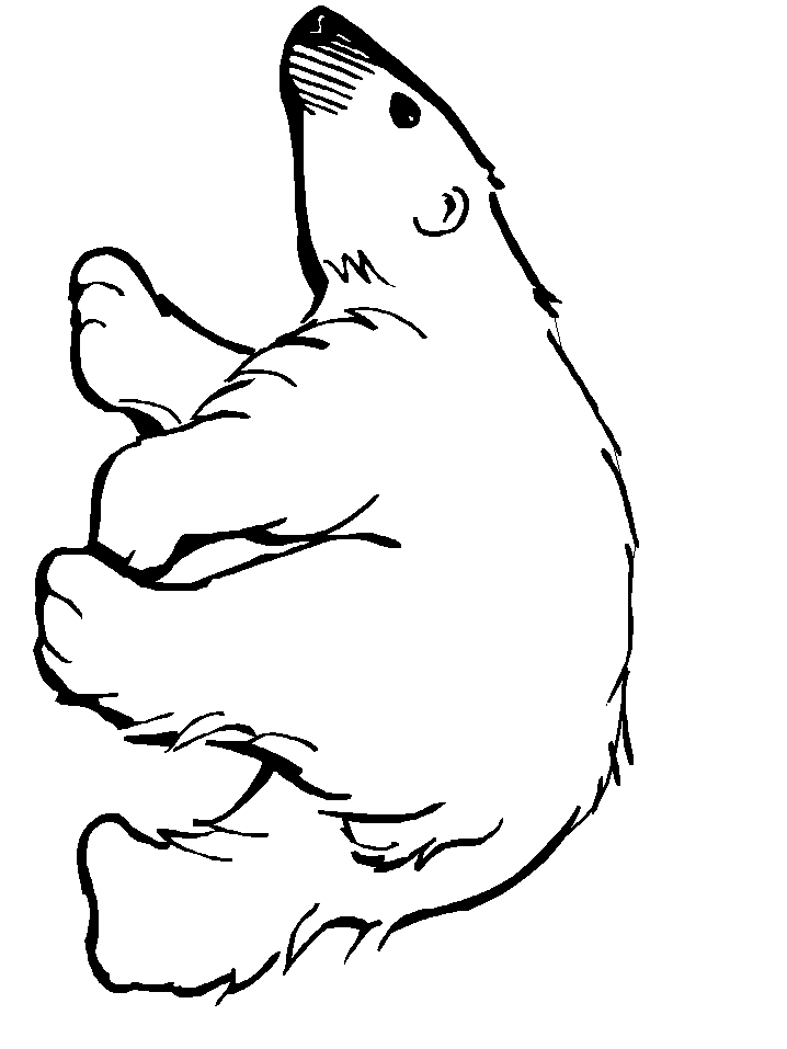 Polar Bear Clipart Free