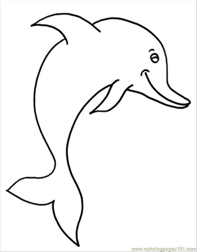 y dolphin Colouring Pages