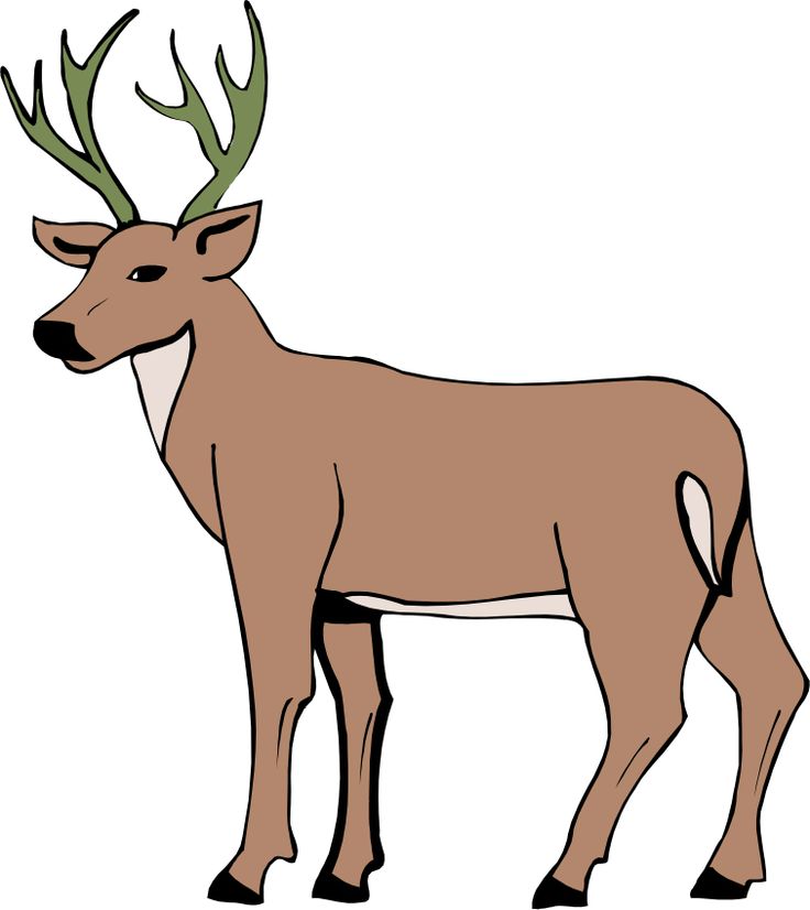 Cartoon Deer | Cartoon Deer | Page 2 | Cartoon Drawing Ideas | Pinter…