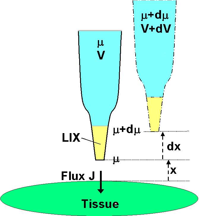 Diagram Of The Microscope