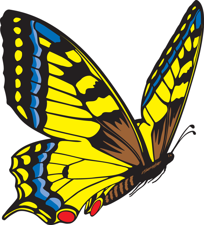 Monarch Butterfly Clipart - Cliparts.co