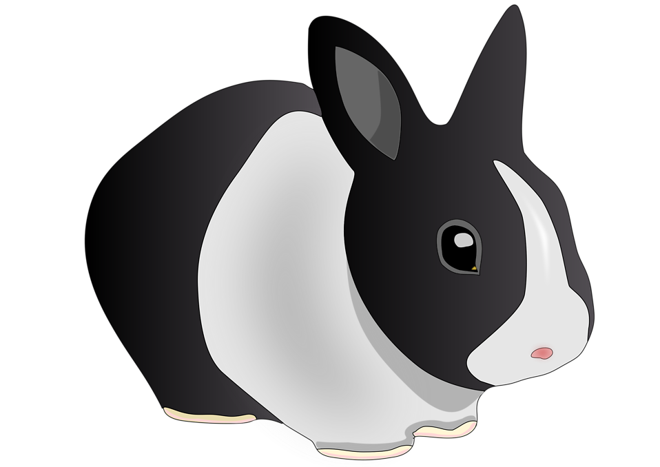 Black Bunny Clipart Images & Pictures - Becuo