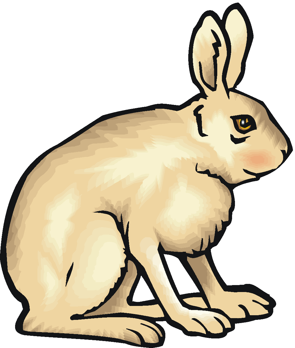 Images For > Tortoise And Hare Clip Art