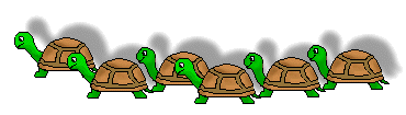 Turtle Clip Art - Free Turtle Clip Art - Rows of Turtles - Clip ...