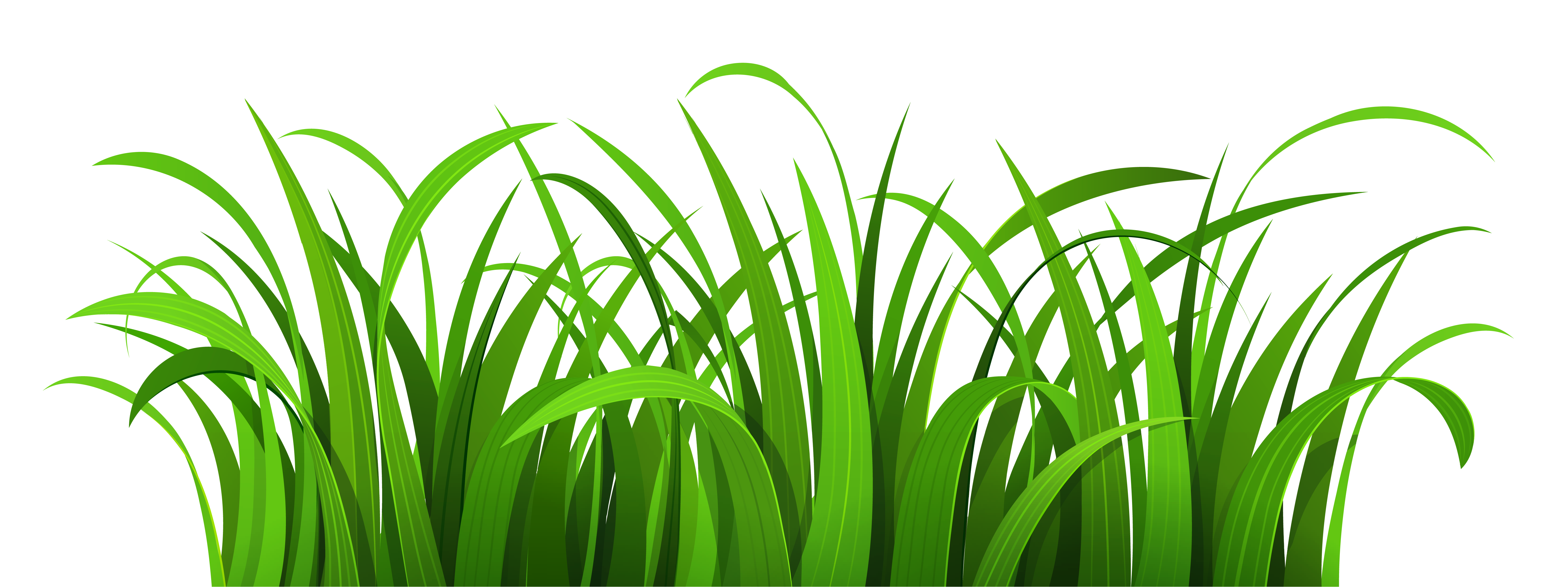 free clipart of green grass - photo #9