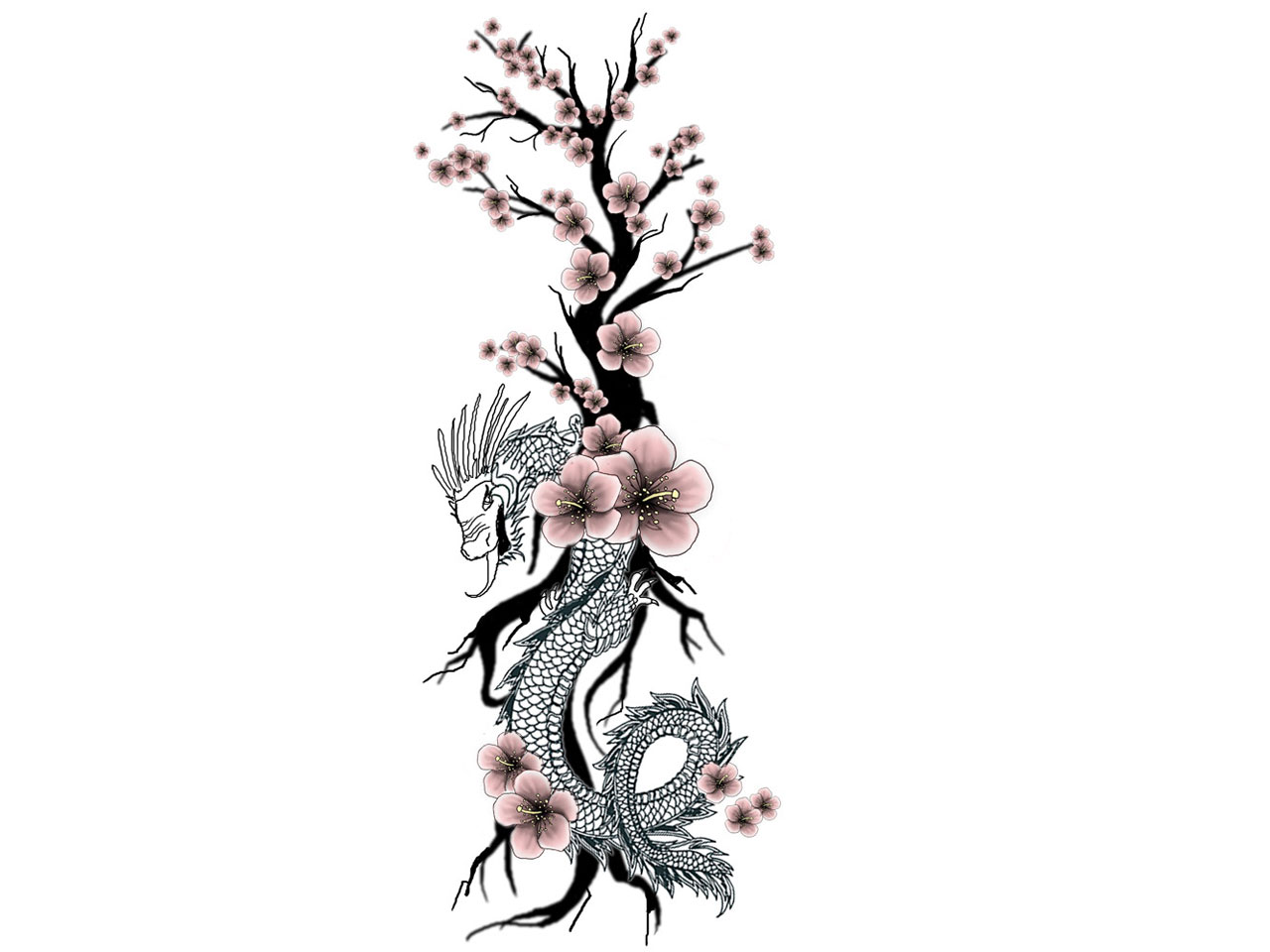 Free designs - Dragon on cherry tattoo wallpaper