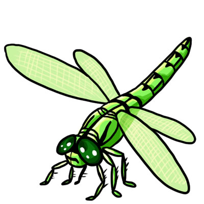 25 FREE Dragonfly Clip Art Drawings and Colorful Images