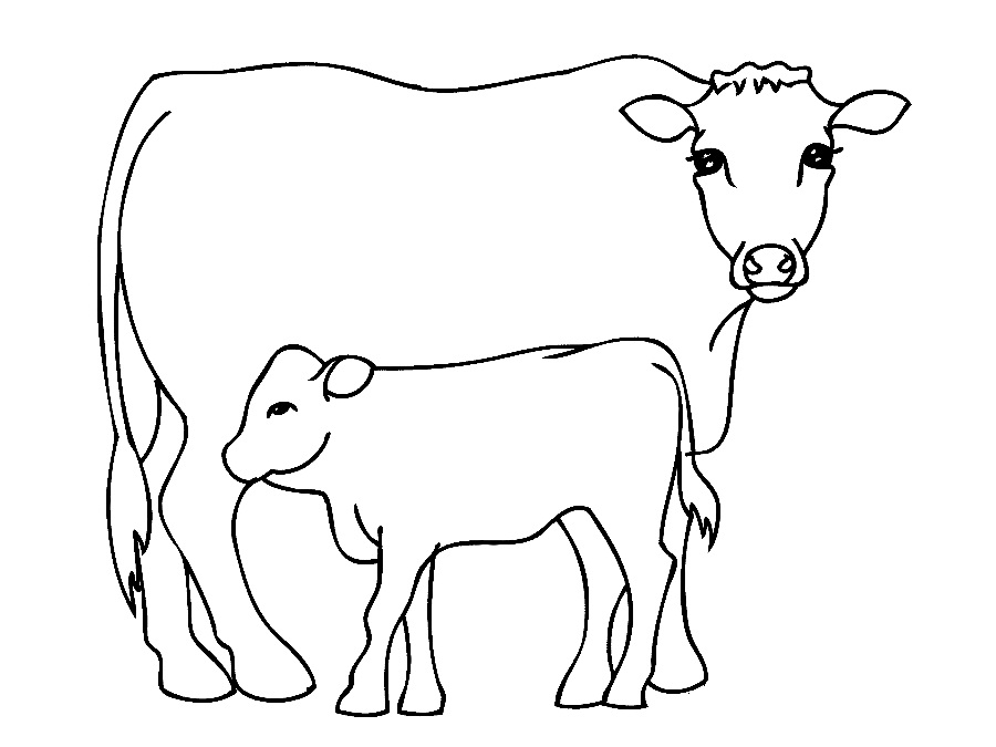 Outline Of A Cow - Cliparts.co