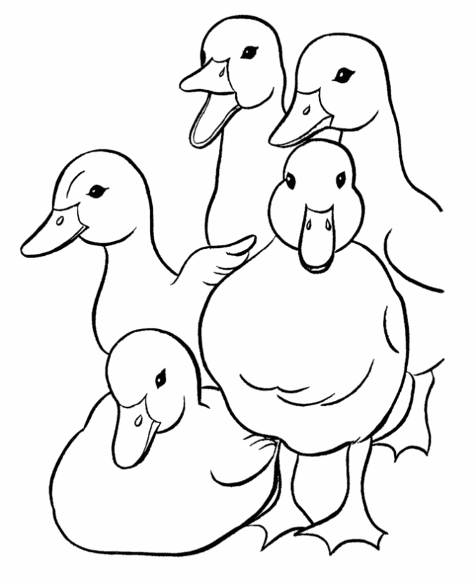 Duck Coloring Pages 10 - smilecoloring.com