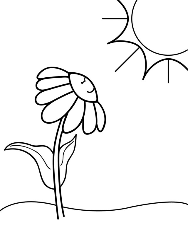 Flowers Clip Art For Teachers Parents Students And The 113141 ...