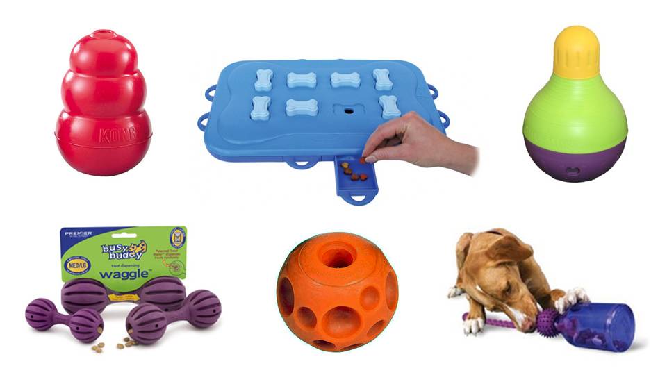 The 6 Best Toys to Keep Your Dog Really Busy | Gizmodo India