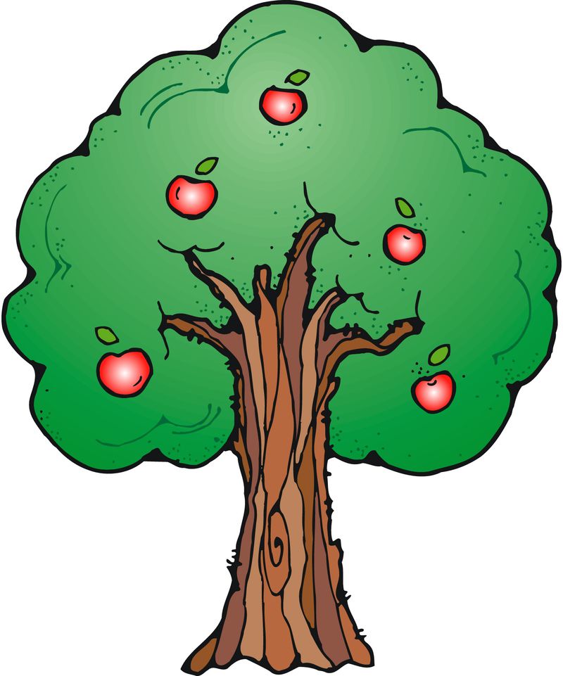 apple picking clipart - photo #2