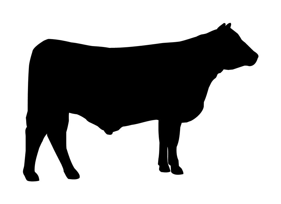 Cow Silhouette - Cliparts.co